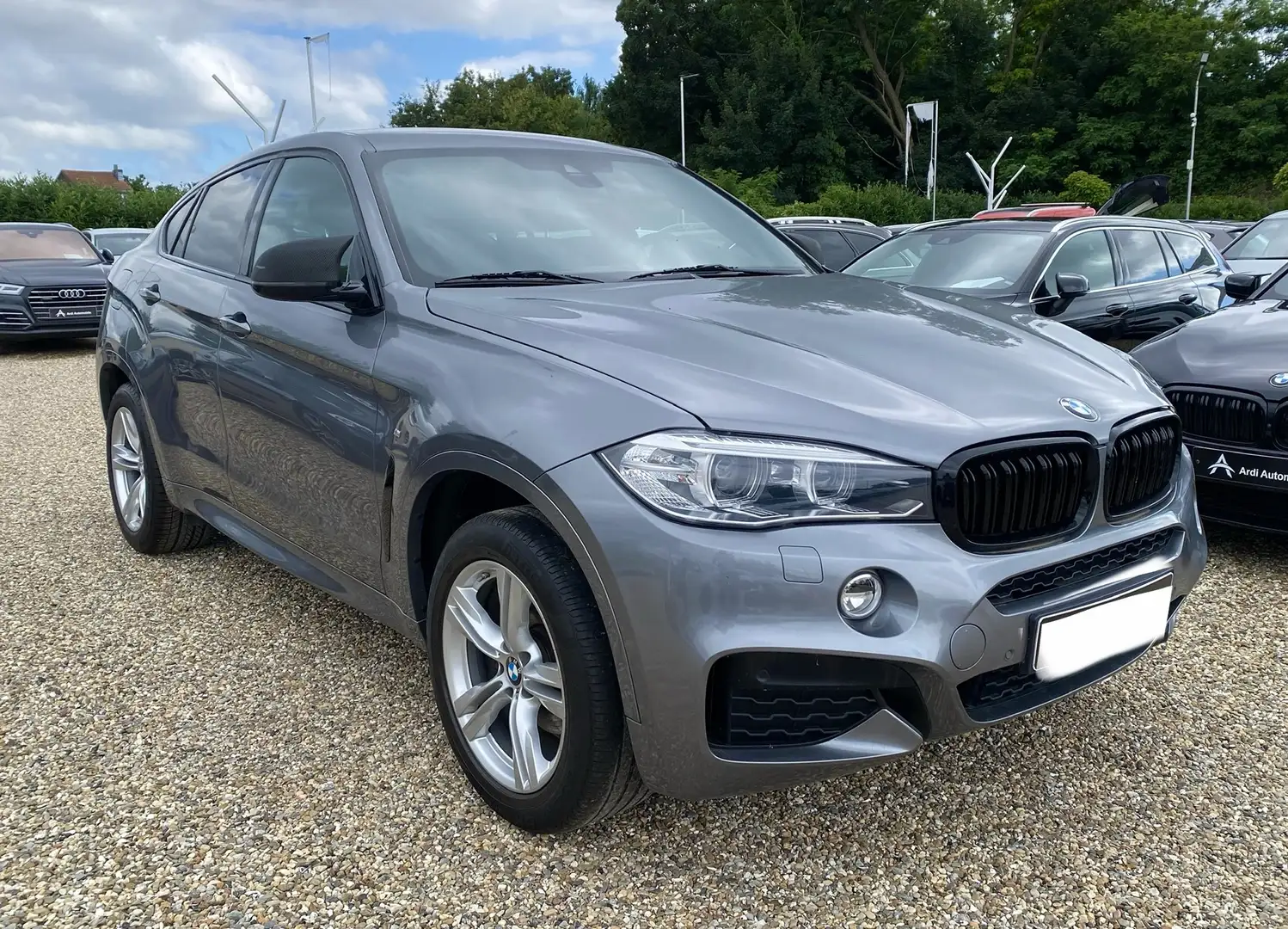 BMW X6 xDrive30d - 2