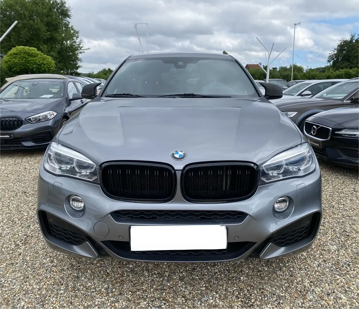 BMW X6 xDrive30d - 1