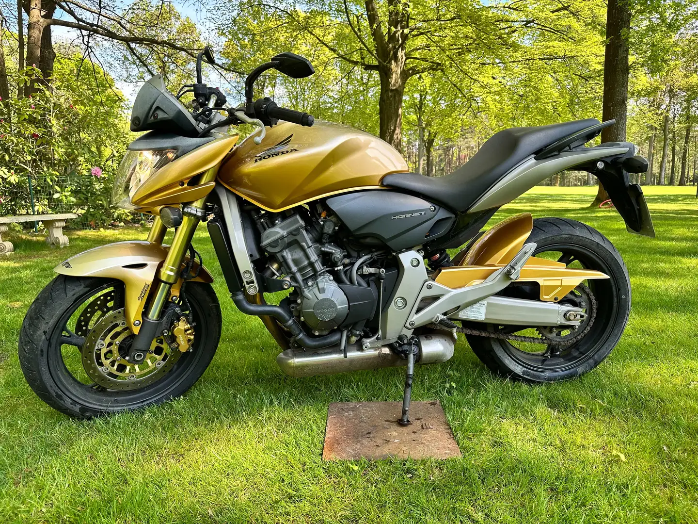 Honda Hornet Gold - 1