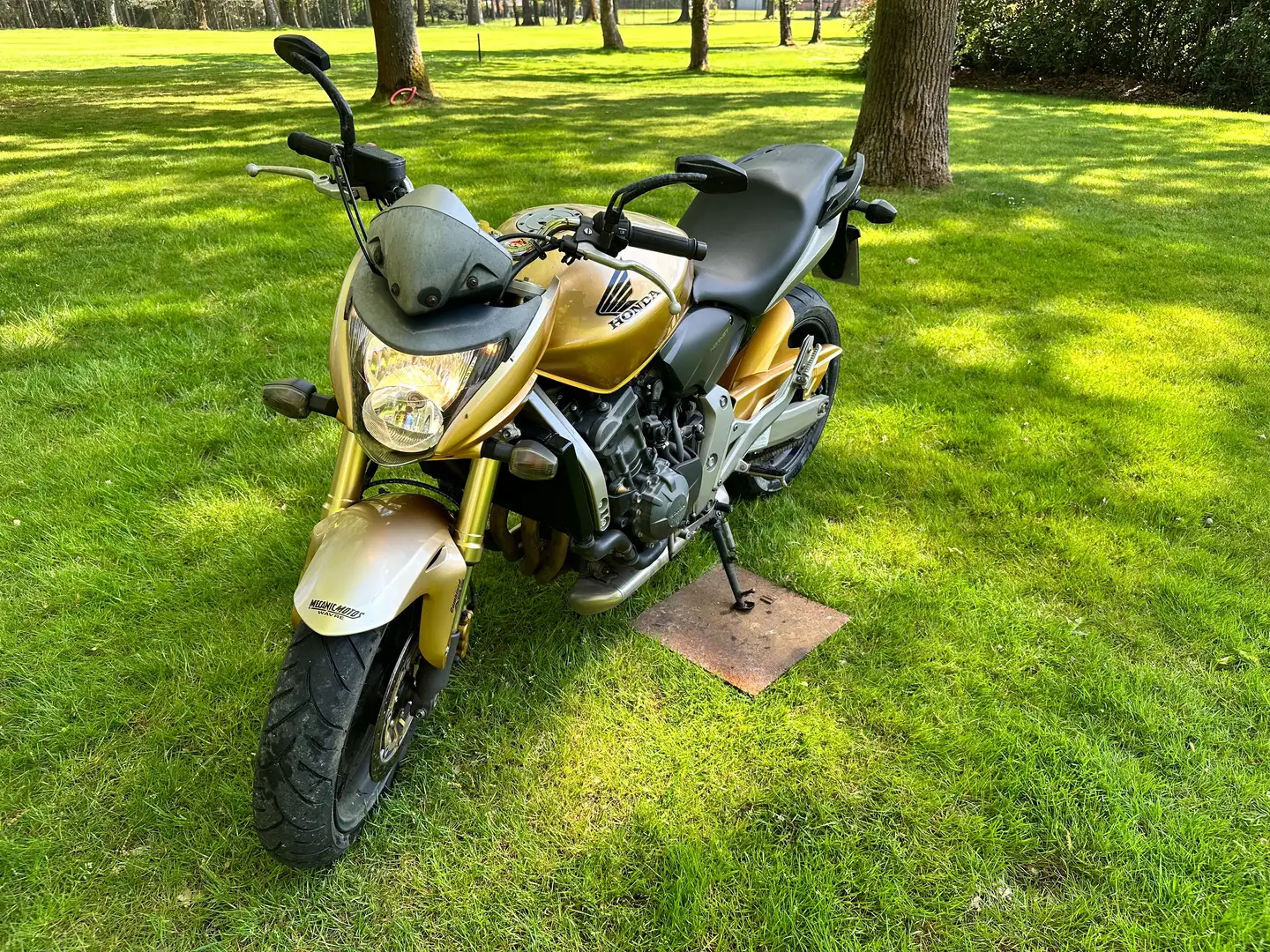 Honda Hornet Gold - 2
