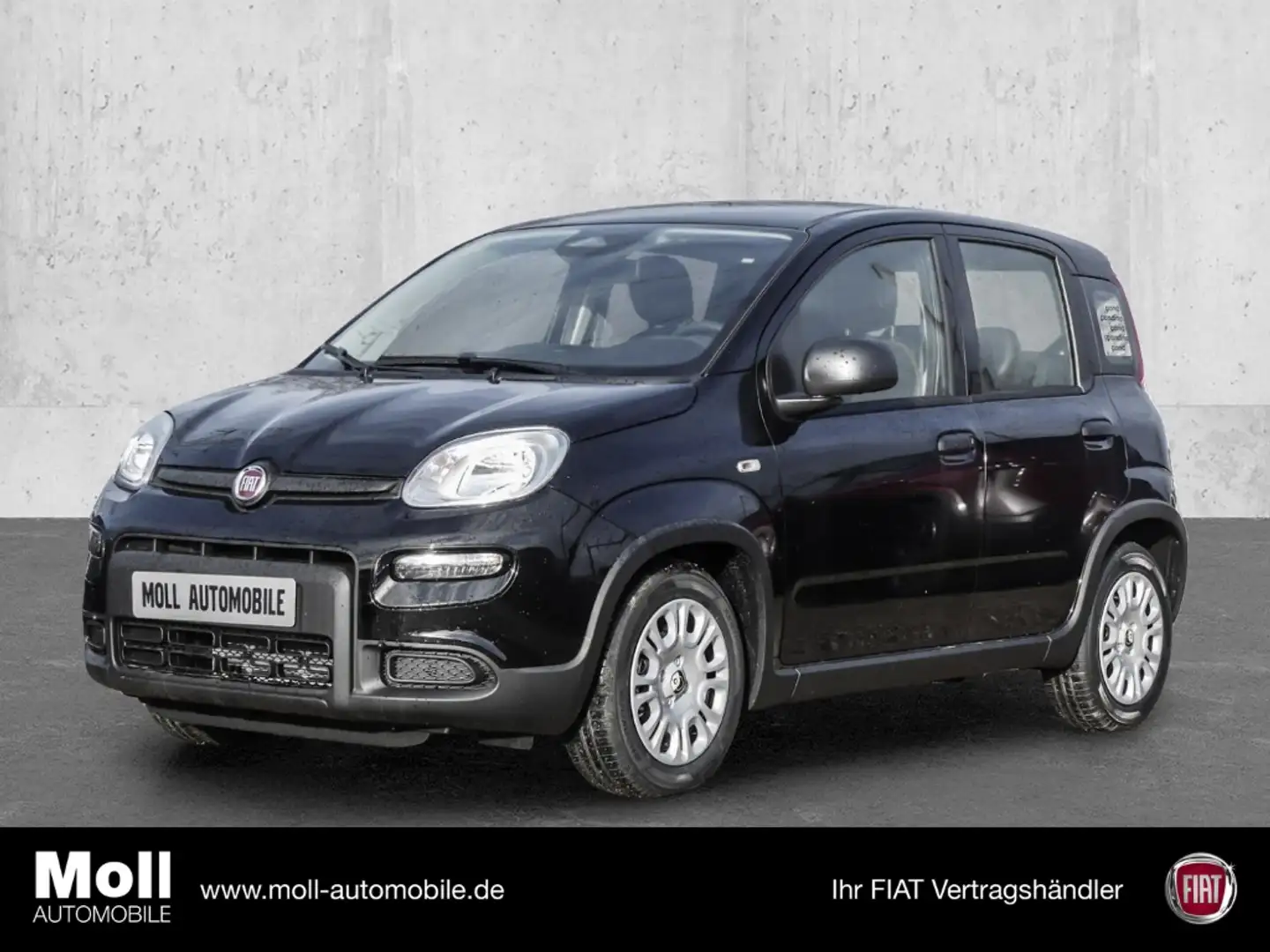 Fiat Panda Mild Hybrid City Paket Cinema Schwarz Schwarz - 1
