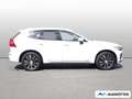 Volvo XC60 T6 Inscription AWD/AHK/360Cam/Pano/SHZ/LHZ Weiß - thumbnail 3