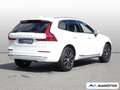 Volvo XC60 T6 Inscription AWD/AHK/360Cam/Pano/SHZ/LHZ Weiß - thumbnail 2