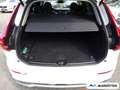 Volvo XC60 T6 Inscription AWD/AHK/360Cam/Pano/SHZ/LHZ Weiß - thumbnail 22