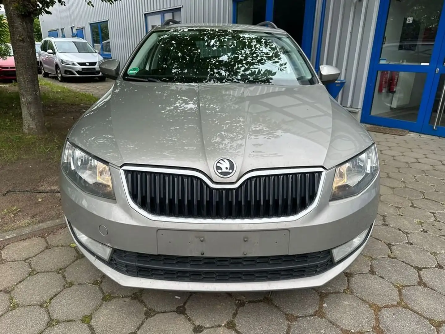 Skoda Octavia GreenTec.Pano.,Autom.Leder.Xen..1A.Tüneu1Hand Braun - 1