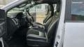 Ford Ranger DOUBLE CABINE 2.0 ECOBLUE 213 SetS BV10 RAPTOR Blanc - thumbnail 15