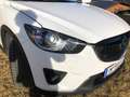 Mazda CX-5 CX-5 CD150 AWD Attraction Attraction Weiß - thumbnail 3