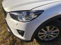 Mazda CX-5 CX-5 CD150 AWD Attraction Attraction Weiß - thumbnail 5