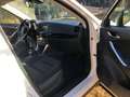 Mazda CX-5 CX-5 CD150 AWD Attraction Attraction Weiß - thumbnail 8