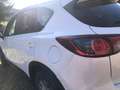 Mazda CX-5 CX-5 CD150 AWD Attraction Attraction Weiß - thumbnail 6