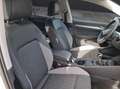Volkswagen Golf VIII TSI Goal STH LED AID ACC Park-Assist SH Weiß - thumbnail 14