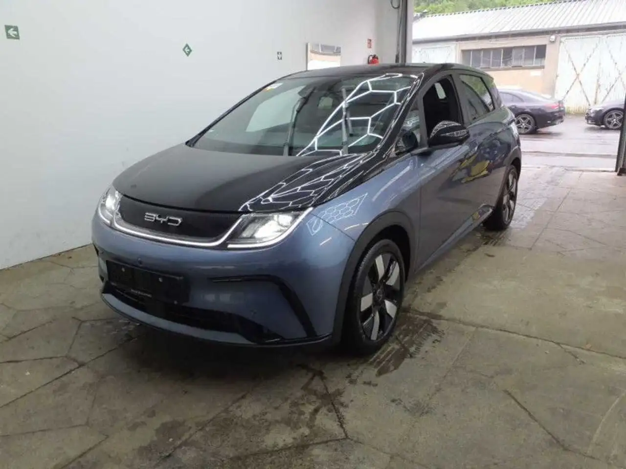 BYD Dolphin