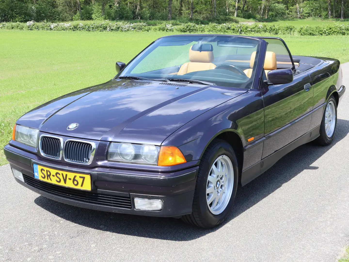 BMW 318 330 318i Executive Blauw - 1