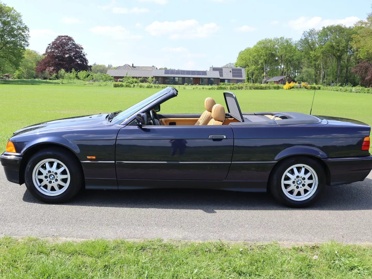 BMW 318 330 318i Executive Blauw - 2