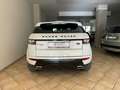 Land Rover Range Rover Evoque 2.2 sd4 Dynamic 190cv auto 9m Blanc - thumbnail 5