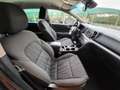 Kia Sportage Sportage 1.7 CRDI 141 CV DCT7 2WD Business Class Gris - thumbnail 8