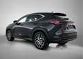 Lexus NX 450h+ AWD Executive Line | BTW Voertuig | Premium uitgev Noir - thumbnail 14