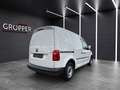 Volkswagen Caddy 2.0 TDI Kasten PDC/Klima/MwSt...... Weiß - thumbnail 5