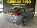 Lexus NX 300h NX 300h 2.5 F Sport 4wd cvt Grigio - thumbnail 6