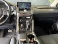 Lexus NX 300h NX 300h 2.5 F Sport 4wd cvt Grigio - thumbnail 10