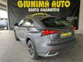 Lexus NX 300h NX 300h 2.5 F Sport 4wd cvt Grigio - thumbnail 4