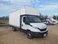 Iveco Daily 35c16 centinato Blanc - thumbnail 3