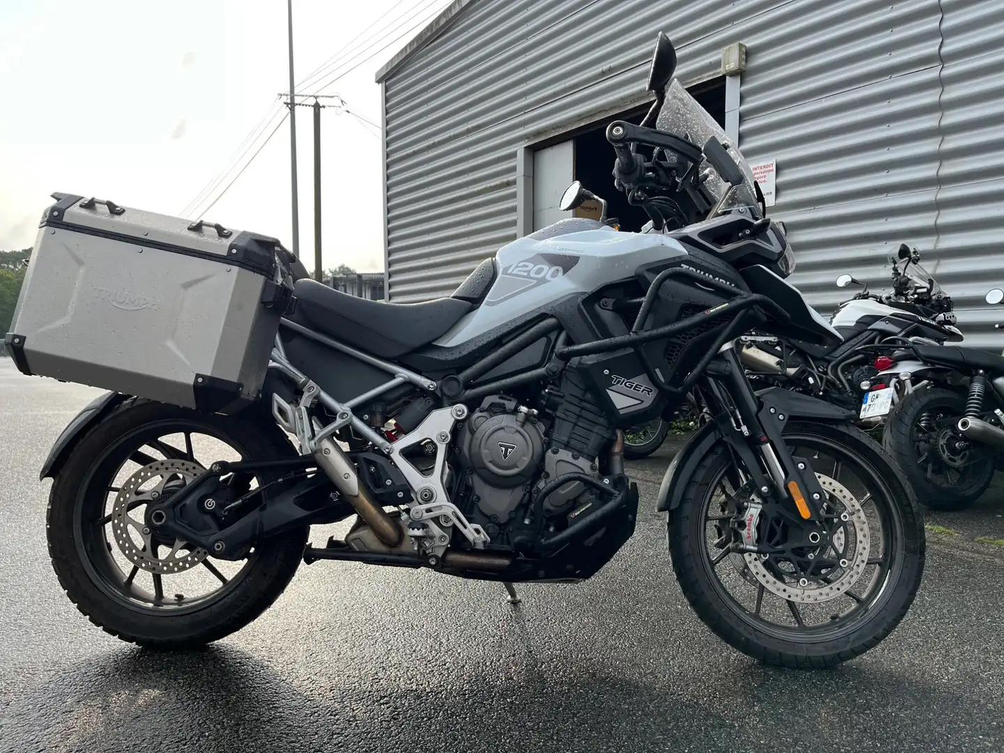 Triumph Tiger 1200 Weiß - 2