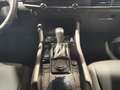Mazda 3 5 Porte 2.0 e-Skyactiv G M Hybrid Homura Gris - thumbnail 13