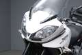 Triumph Tiger 1050 Abs Bianco - thumbnail 6
