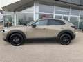 Mazda CX-30 e-Skyactive G140 Homura - thumbnail 11