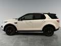 Land Rover Discovery Sport 2.0 td4 Pure Business edition awd 180cv auto Blanc - thumbnail 15