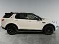 Land Rover Discovery Sport 2.0 td4 Pure Business edition awd 180cv auto Blanc - thumbnail 10