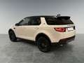 Land Rover Discovery Sport 2.0 td4 Pure Business edition awd 180cv auto Blanc - thumbnail 14