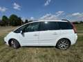 Citroen C4 Picasso THP 150 EGS6 Exclusive Bianco - thumbnail 3