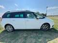 Citroen C4 Picasso THP 150 EGS6 Exclusive Bianco - thumbnail 2