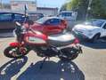 Ducati Scrambler SCRAMBLER ICON RED Rosso - thumbnail 14