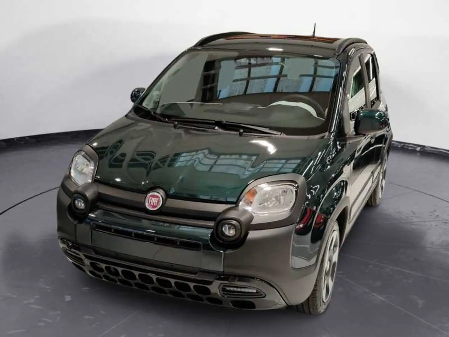 Fiat Panda My25 1.0 70cv Hybrid Pandina Verde - 1