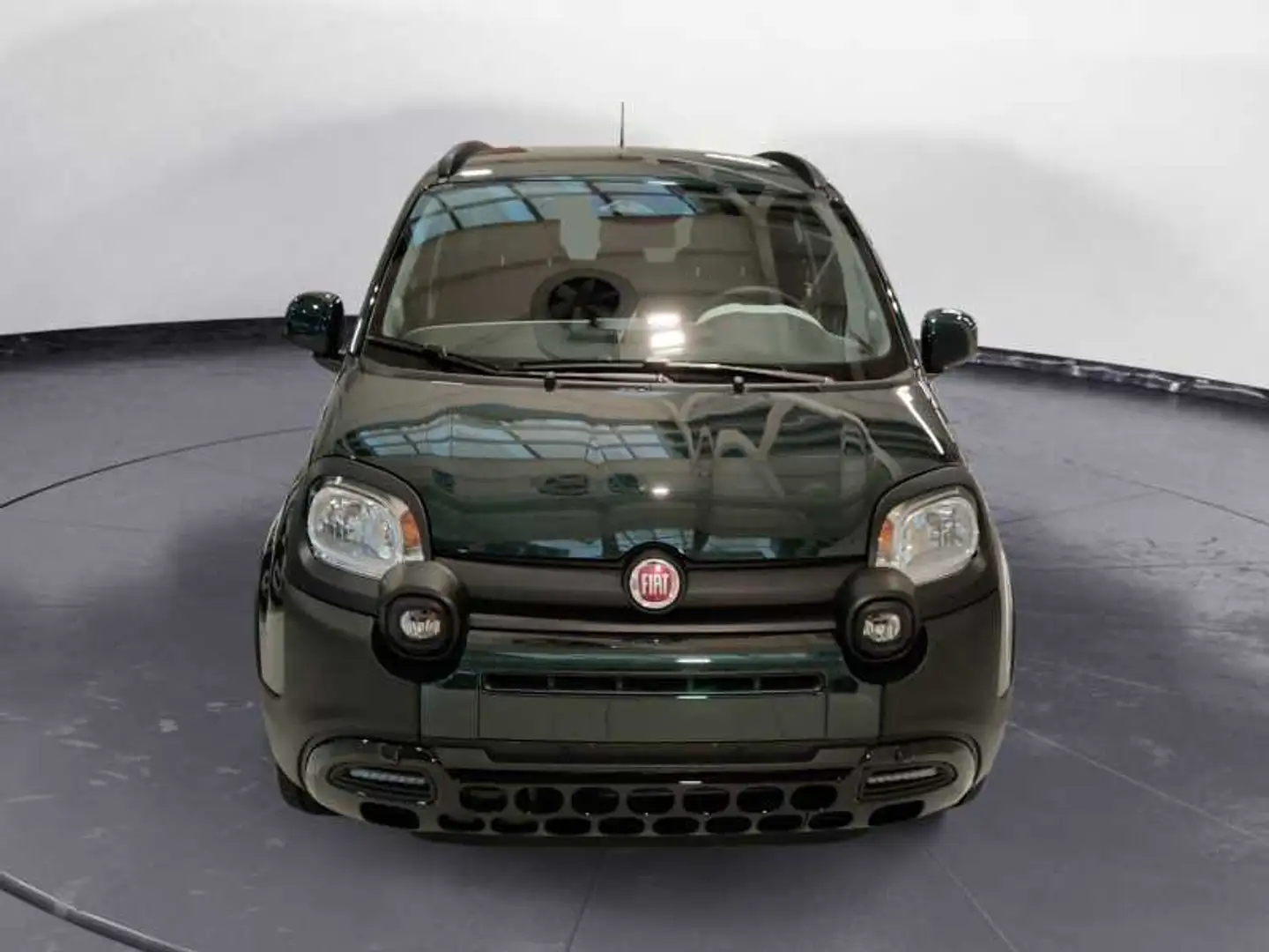 Fiat Panda My25 1.0 70cv Hybrid Pandina Verde - 2