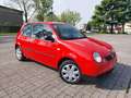 Volkswagen Lupo Lupo 1.4 Trendline Air c/abs 60cv Red - thumbnail 1