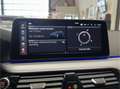 BMW 518 5-SERIE TOURING 518D HYBRIDE D HIGH EXECUTIVE AUTO Blauw - thumbnail 28