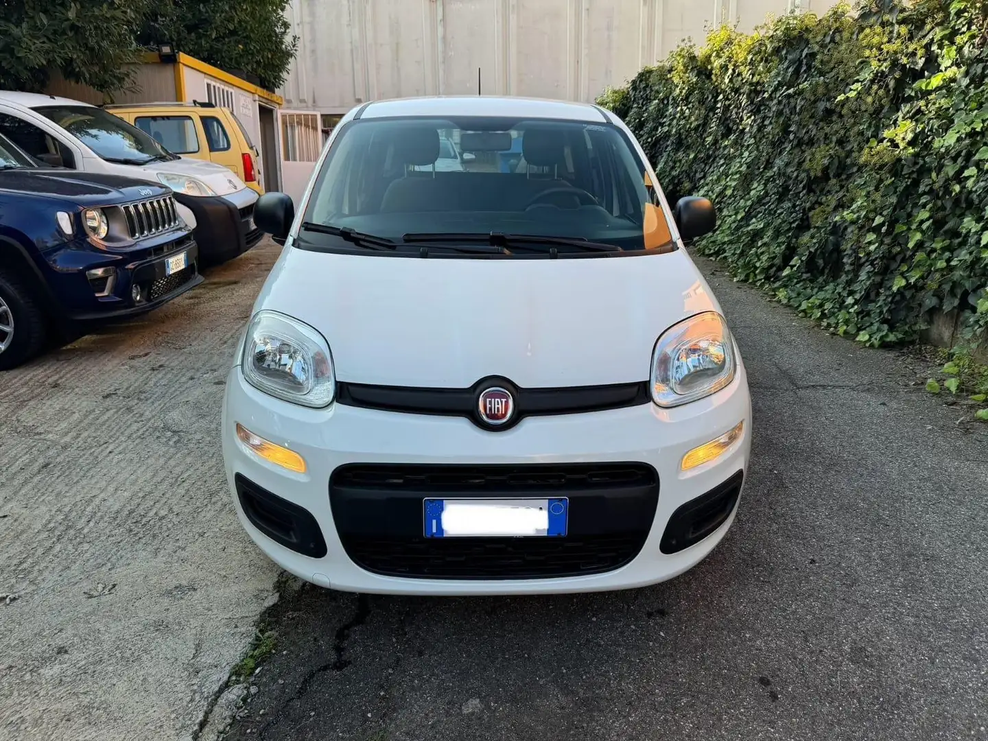 Fiat Panda Panda 1.2 Easy easypower Gpl 69cv my19 Bianco - 1