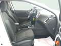 Kia Ceed / cee'd 1.0 T-GDI Drive 100 Blanco - thumbnail 20