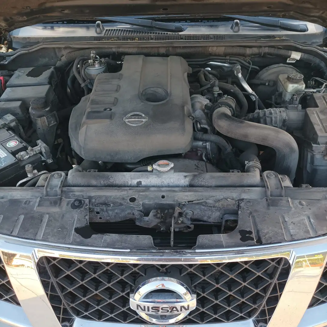 Nissan Pathfinder Pathfinder III 2010 2.5 dci LE auto Grigio - 1