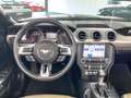 Ford Mustang Cabrio 2.3 Eco Boost Aut./Premium/SZH/Kamera/LED White - thumbnail 12