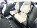 Ford Mustang Cabrio 2.3 Eco Boost Aut./Premium/SZH/Kamera/LED White - thumbnail 11