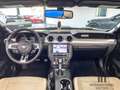 Ford Mustang Cabrio 2.3 Eco Boost Aut./Premium/SZH/Kamera/LED White - thumbnail 13