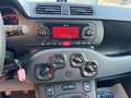 Fiat Panda 1.0 FireFly AUTOCARRO N1 Blanc - thumbnail 10