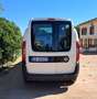 Fiat Doblo Doblò MAXI Euro 6 TRASPORTO DISABILI TETTO ALTO Bianco - thumbnail 4