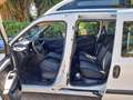 Fiat Doblo Doblò MAXI Euro 6 TRASPORTO DISABILI TETTO ALTO Bianco - thumbnail 8