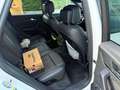 Audi SQ5 TDI quattro tiptronic Weiß - thumbnail 7